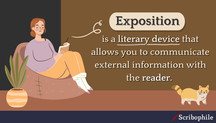 Exposition is a literary device that allows you to communicate external information with the reader.
