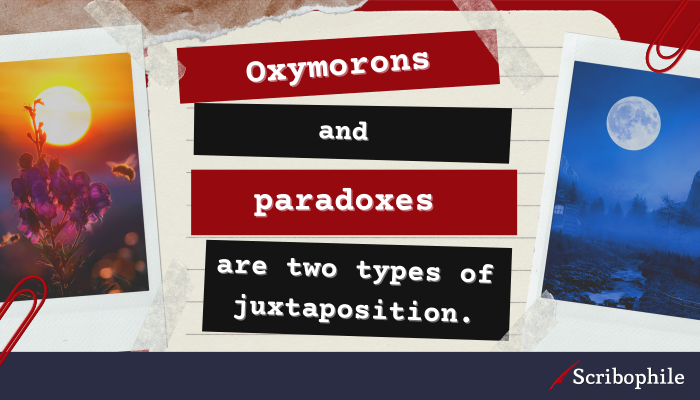 Oxymorons and paradoxes are two types of juxtaposition.