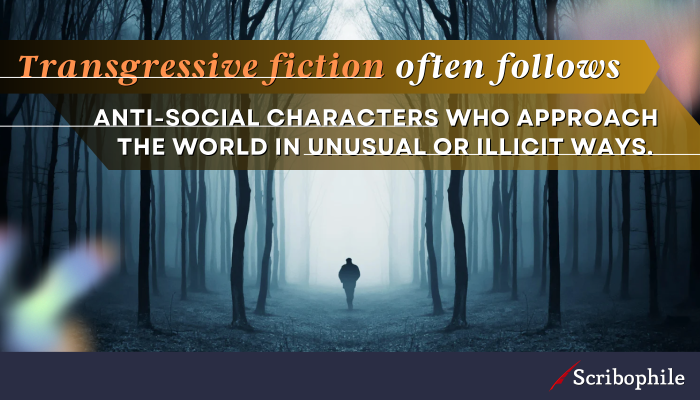 Transgressive fiction often follows anti-social characters who approach the world in unusual or illicit ways.