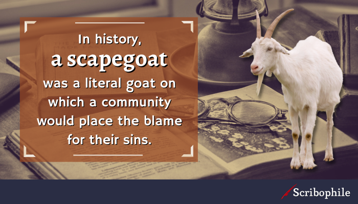 In history, a scapegoat was a literal goat on which a community would place the blame for their sins.
