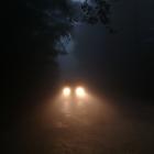Member-Sponsored I Survived Halloween Horror Contest